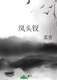 凤头钗