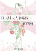 [紅樓]夫人套路深.