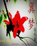 翼梦